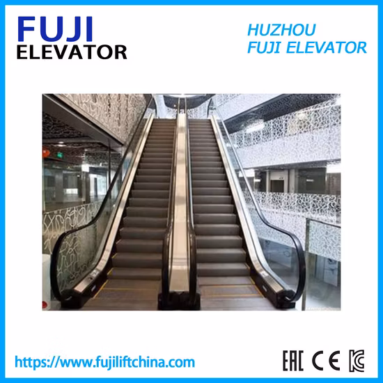 FUJI China Factory Indoor Outdoor Commercial Rolltreppen-Fahrsteig mit Vvvf und Auto-Start-Stopp