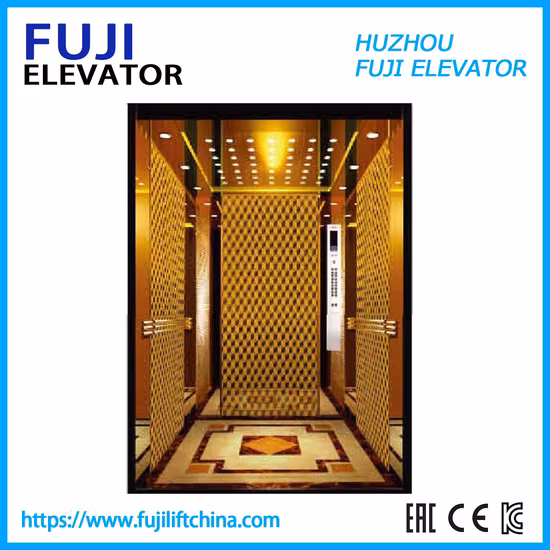 FUJI Passenger House Panorama-Frachtbeobachtungs-Wohnaufzug in China-Fabrik