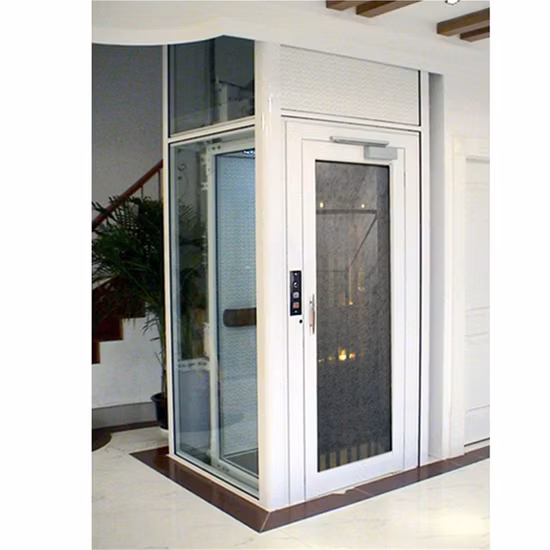 400 kg heißer Verkaufs-Wohnhaus-Aufzug-Villa-Personenaufzug